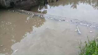 Terkait Dugaan Limbah Cemari Sungai di Inhu, Warga Pertanyakan Hasil Uji Labor